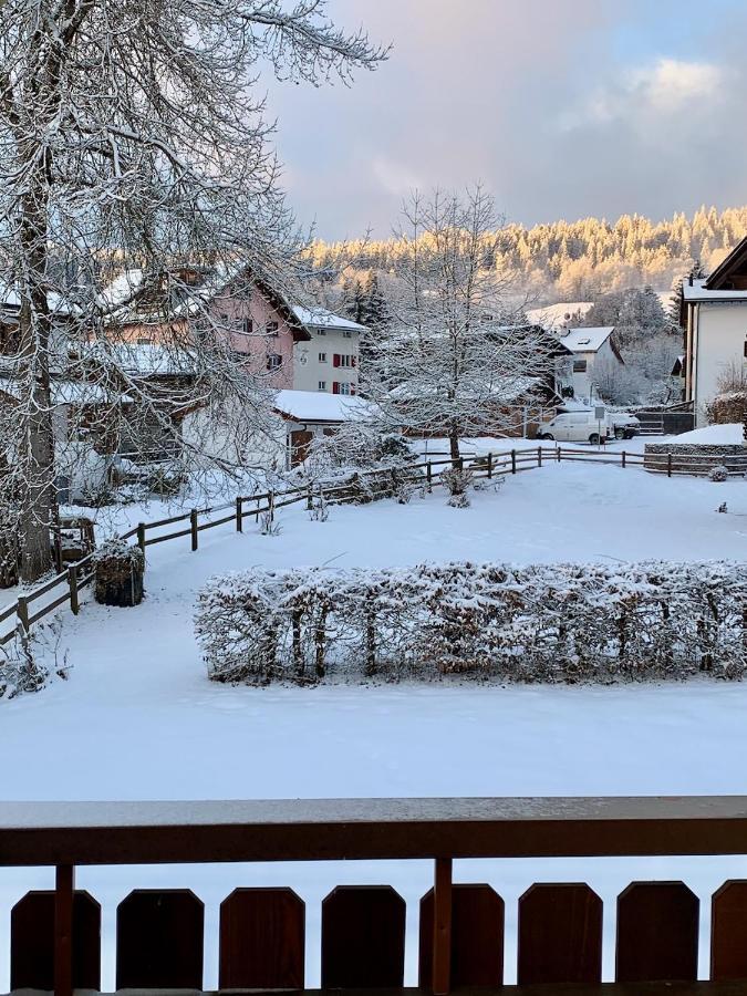 Arcula * Flims