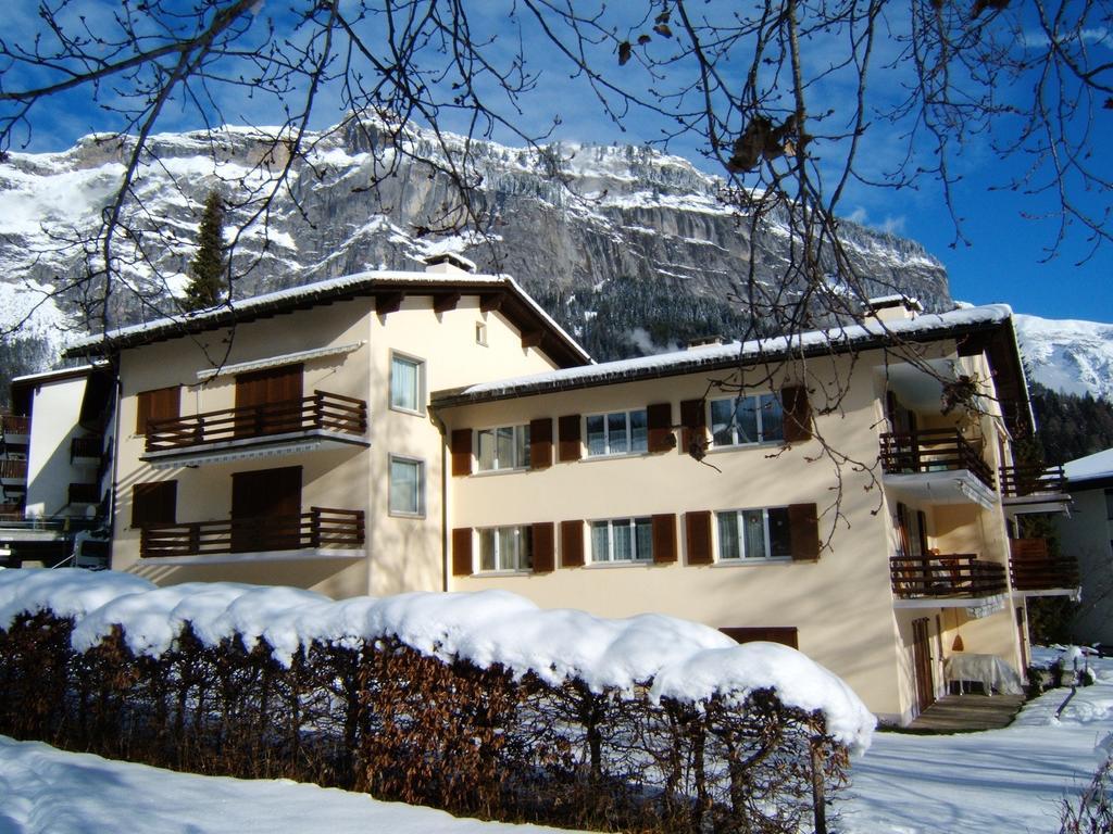 Arcula Flims